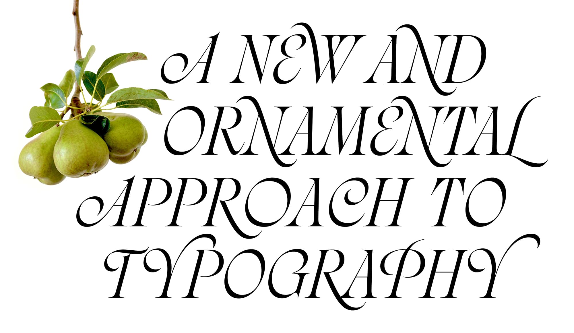 Calligraphy, Curiosity, and Craftsmanship: An Interview with My-Lan from Sharp Type